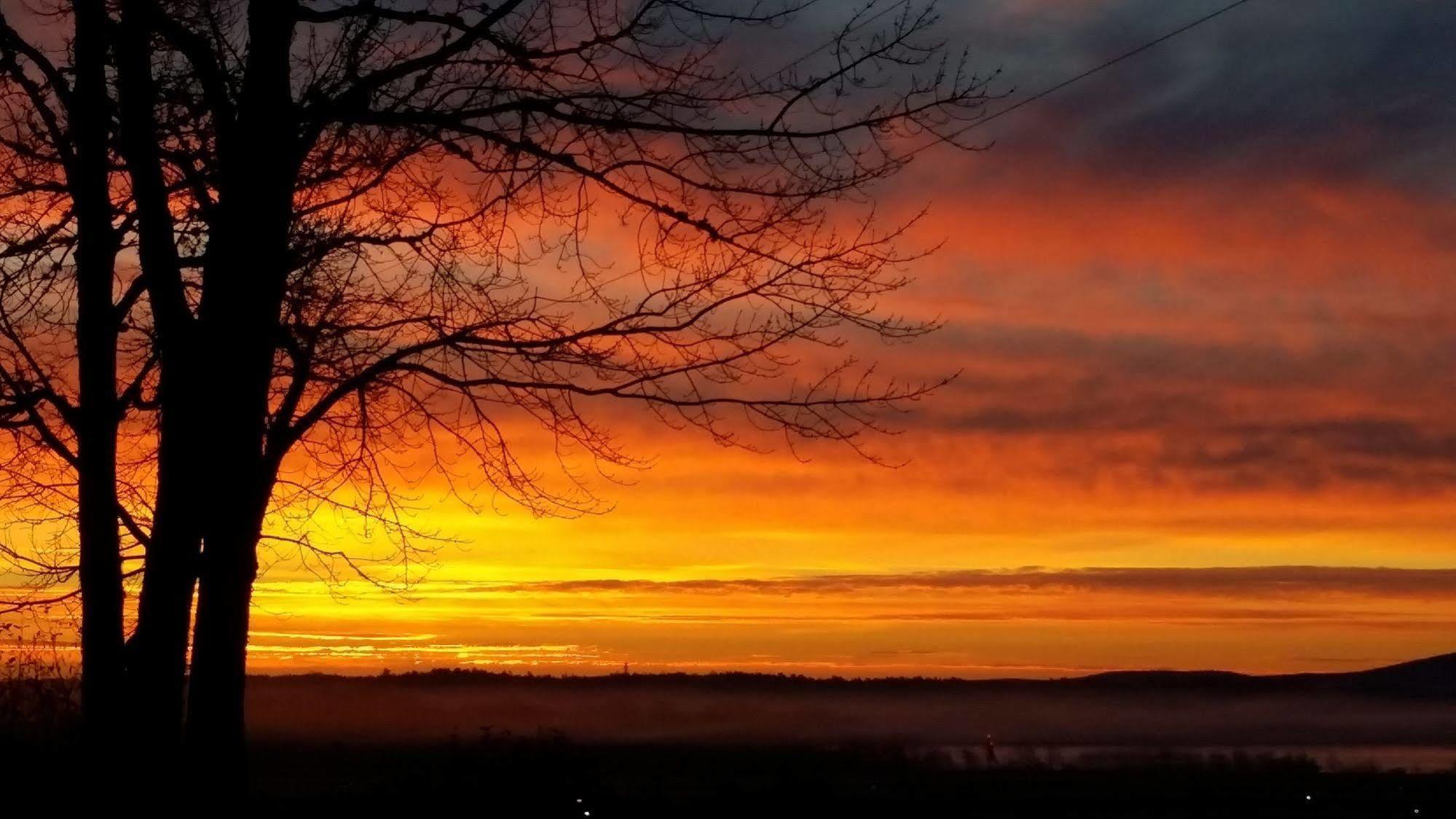 Acadia Sunrise Motel Trenton Extérieur photo